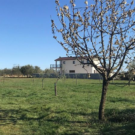 Villa Lydia Marčana Esterno foto
