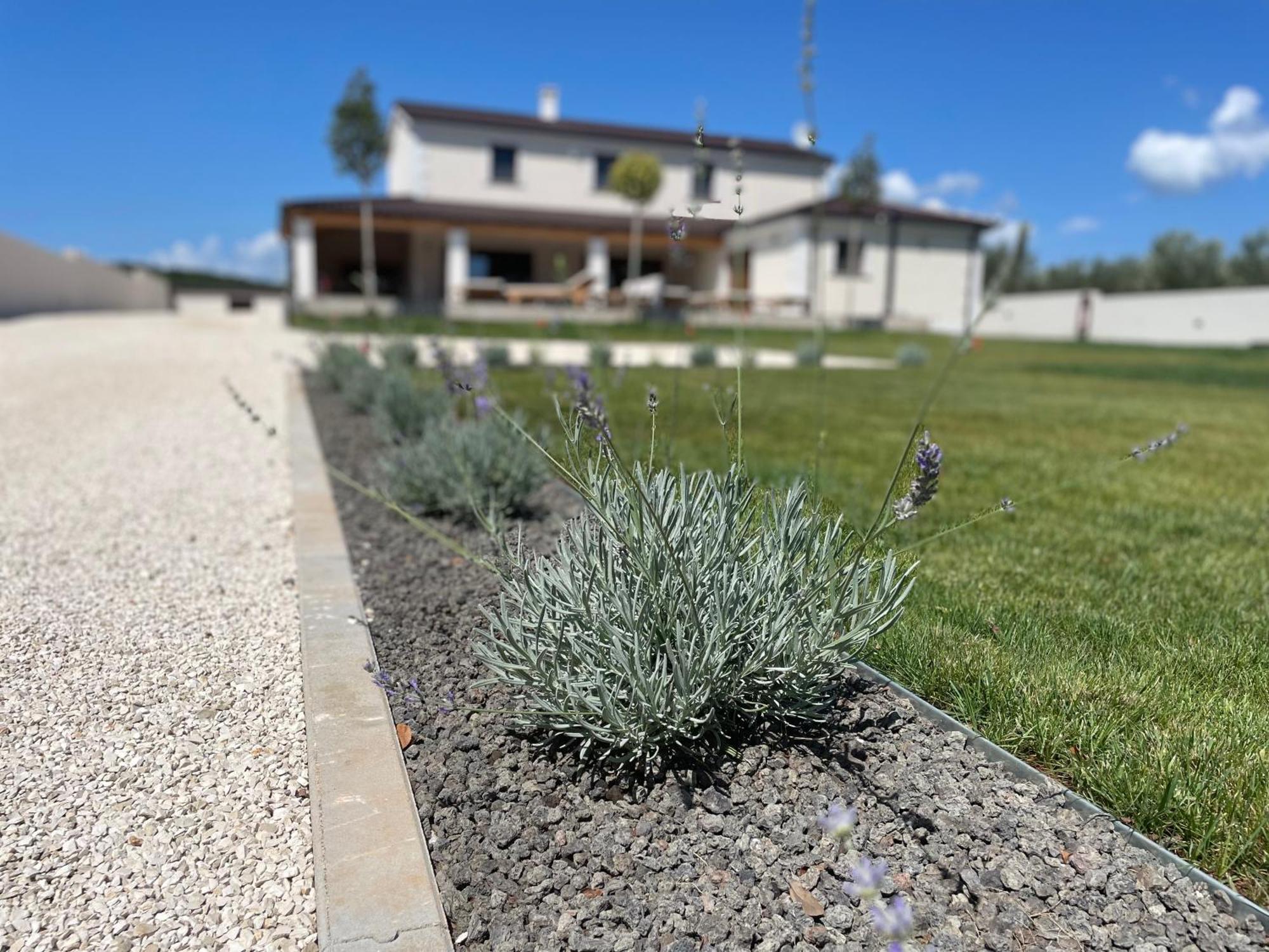 Villa Lydia Marčana Esterno foto